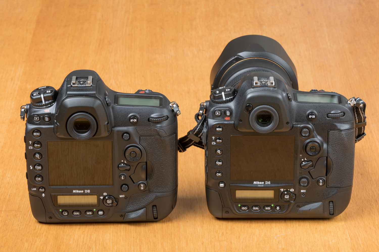 Nikon D6、D4の背面を比較
