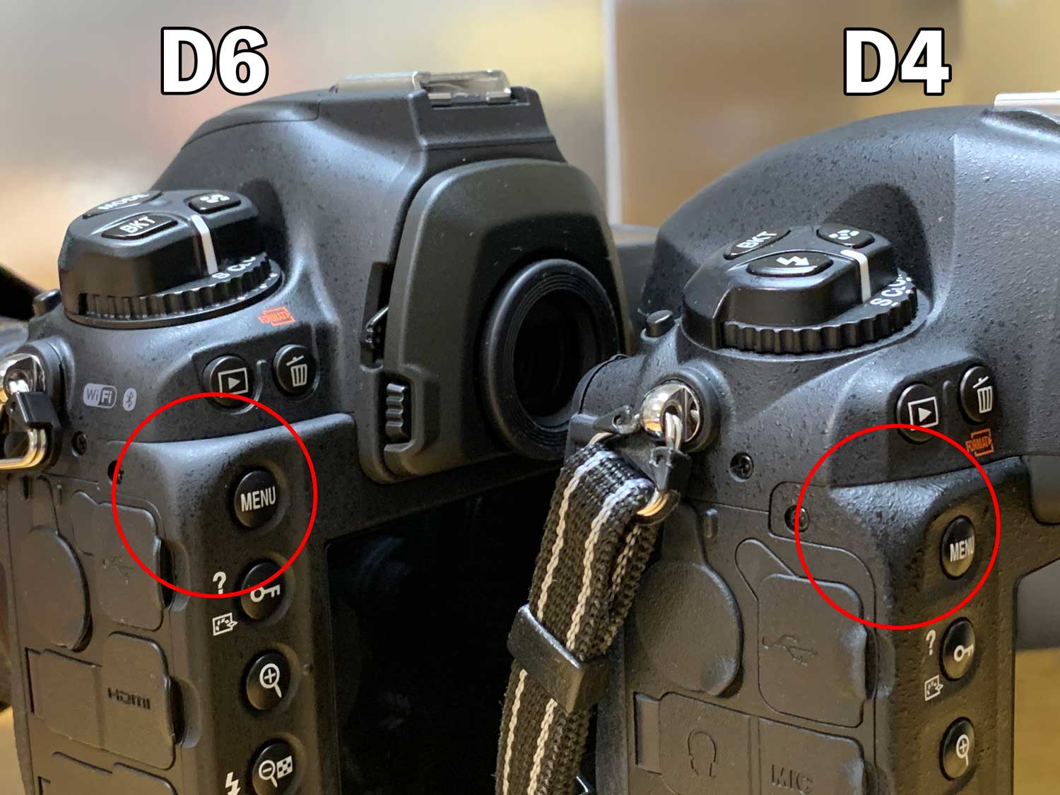 Nikon D6、D4のボディを比較