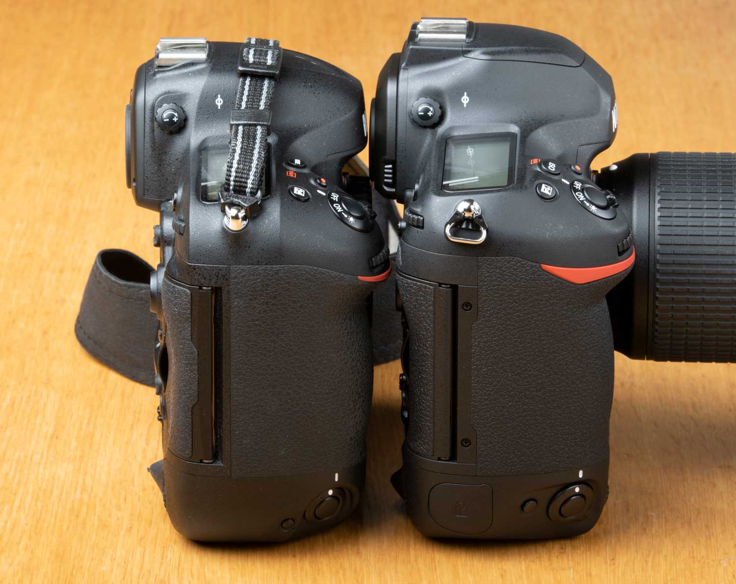 Nikon D6、D4のボディ彩度を比較