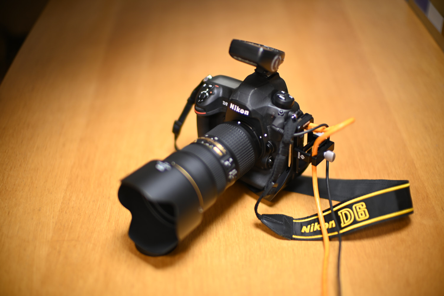 Noctilux-M 50mm f/0.95最短撮影距離1mで撮影